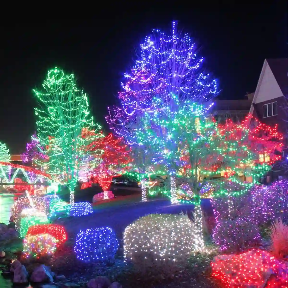 Vibrant holiday light display featuring trees wrapped in multicolored lights at night during the Big Bear Lake Festival of Lights